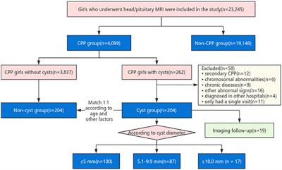 Pineal cysts may promote pubertal development in girls with central precocious puberty: a single-center study from China